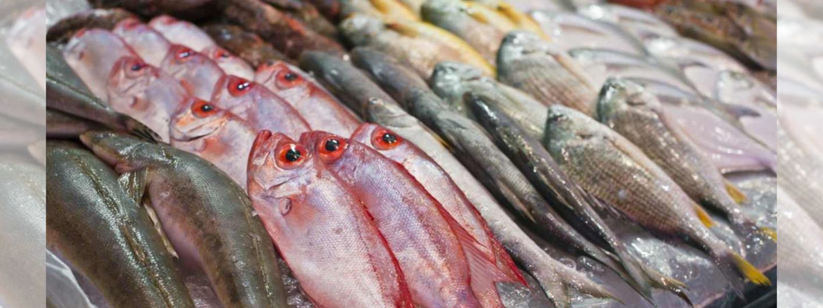 Fish Prices Surge Due To Adverse Weather